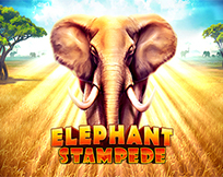 Elephant Stampede